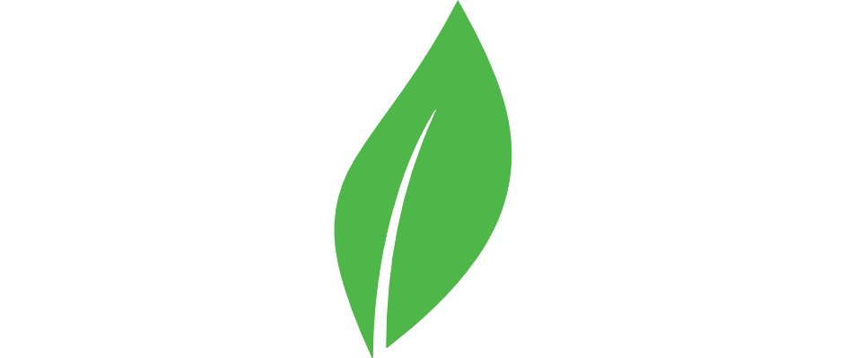 Bliss Eco Energy Logo